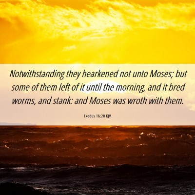 Picture 06 - Exodus 16:20 KJV - Notwithstanding they hearkened not unto Moses; - Bible Verse Picture