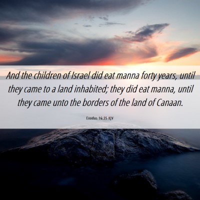Picture 06 - Exodus 16:35 KJV - And the children of Israel did eat manna forty - Bible Verse Picture