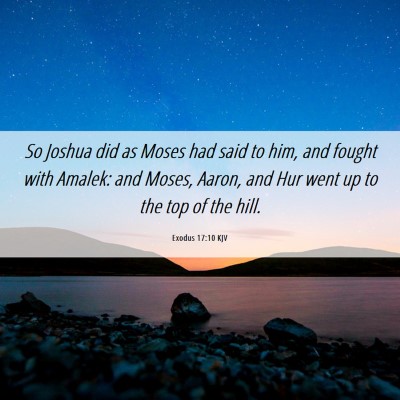 Picture 06 - Exodus 17:10 KJV - So Joshua did as Moses had said to him, and - Bible Verse Picture