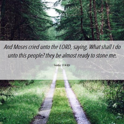 Picture 06 - Exodus 17:4 KJV - And Moses cried unto the LORD, saying, What shall - Bible Verse Picture