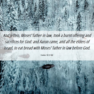 Picture 06 - Exodus 18:12 KJV - And Jethro, Moses' father in law, took a burnt - Bible Verse Picture