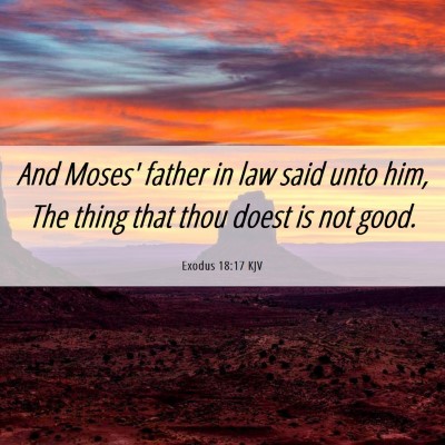Picture 06 - Exodus 18:17 KJV - And Moses' father in law said unto him, The thing - Bible Verse Picture
