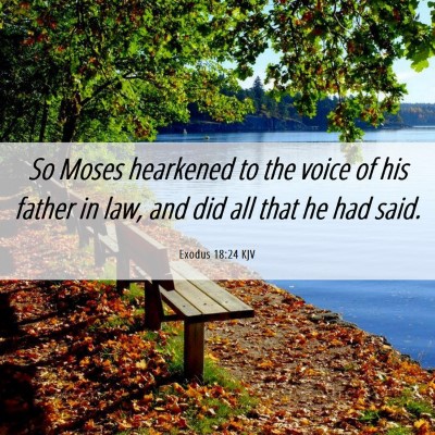Picture 06 - Exodus 18:24 KJV - So Moses hearkened to the voice of his father in - Bible Verse Picture
