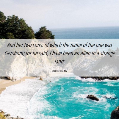 Picture 06 - Exodus 18:3 KJV - And her two sons; of which the name of the one - Bible Verse Picture