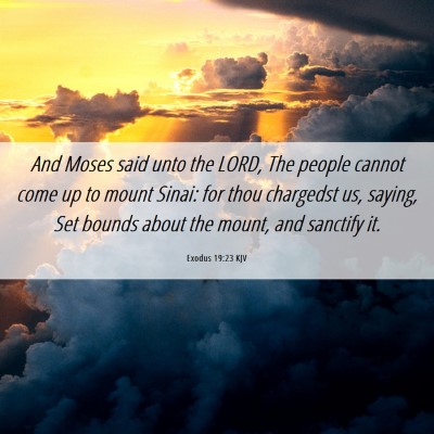Picture 06 - Exodus 19:23 KJV - And Moses said unto the LORD, The people cannot - Bible Verse Picture