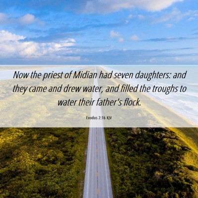 Picture 06 - Exodus 2:16 KJV - Now the priest of Midian had seven daughters: and - Bible Verse Picture