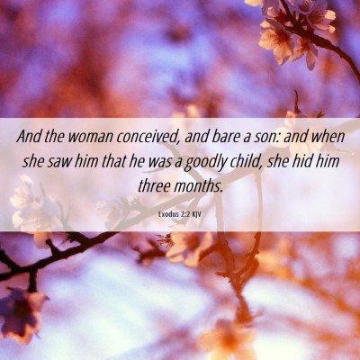 Picture 06 - Exodus 2:2 KJV - And the woman conceived, and bare a son: and when - Bible Verse Picture