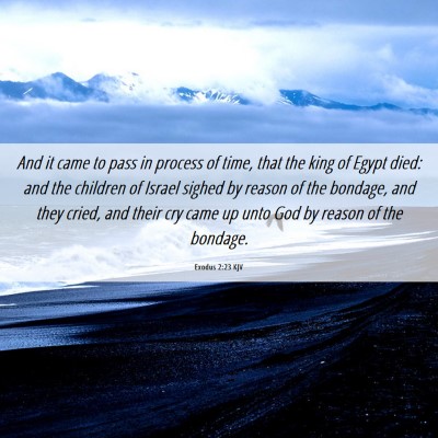 Picture 06 - Exodus 2:23 KJV - And it came to pass in process of time, that the - Bible Verse Picture