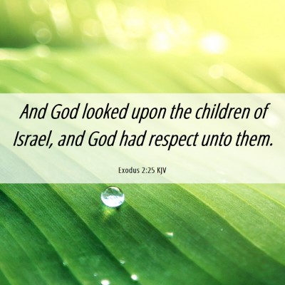 Picture 06 - Exodus 2:25 KJV - And God looked upon the children of Israel, and - Bible Verse Picture