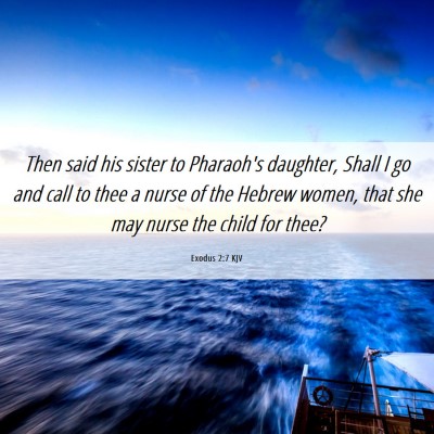 Picture 06 - Exodus 2:7 KJV - Then said his sister to Pharaoh's daughter, Shall - Bible Verse Picture