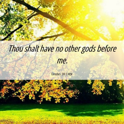 Picture 06 - Exodus 20:3 KJV - Thou shalt have no other gods before - Bible Verse Picture