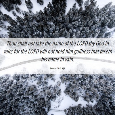 Picture 06 - Exodus 20:7 KJV - Thou shalt not take the name of the LORD thy God - Bible Verse Picture