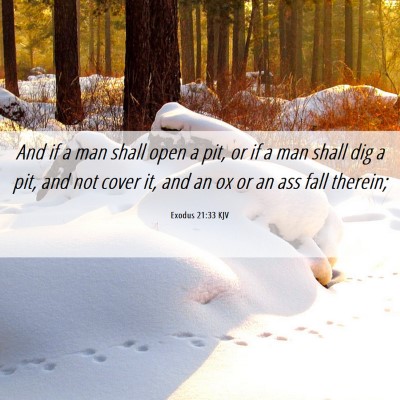 Picture 06 - Exodus 21:33 KJV - And if a man shall open a pit, or if a man shall - Bible Verse Picture