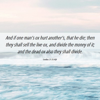Picture 06 - Exodus 21:35 KJV - And if one man's ox hurt another's, that he die; - Bible Verse Picture