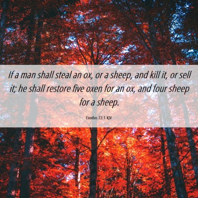 Picture 06 - Exodus 22:1 KJV - If a man shall steal an ox, or a sheep, and kill - Bible Verse Picture