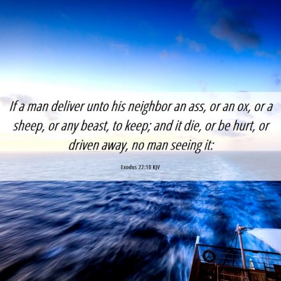 Picture 06 - Exodus 22:10 KJV - If a man deliver unto his neighbor an ass, or an - Bible Verse Picture