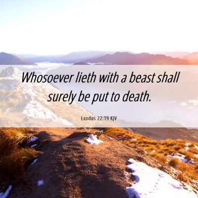 Picture 06 - Exodus 22:19 KJV - Whosoever lieth with a beast shall surely be put - Bible Verse Picture