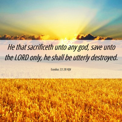 Picture 06 - Exodus 22:20 KJV - He that sacrificeth unto any god, save unto the - Bible Verse Picture
