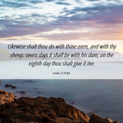 Picture 06 - Exodus 22:30 KJV - Likewise shalt thou do with thine oxen, and with - Bible Verse Picture