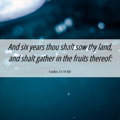 Picture 06 - Exodus 23:10 KJV - And six years thou shalt sow thy land, and shalt - Bible Verse Picture