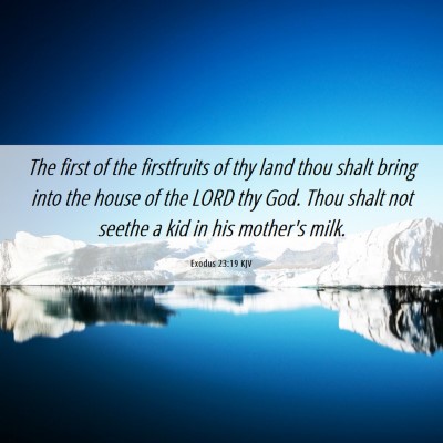 Picture 06 - Exodus 23:19 KJV - The first of the firstfruits of thy land thou - Bible Verse Picture