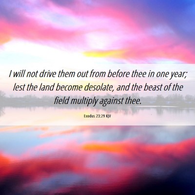 Picture 06 - Exodus 23:29 KJV - I will not drive them out from before thee in one - Bible Verse Picture