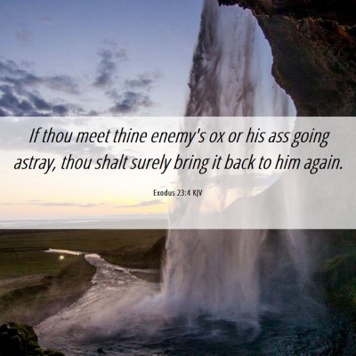 Picture 06 - Exodus 23:4 KJV - If thou meet thine enemy's ox or his ass going - Bible Verse Picture