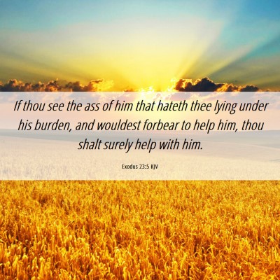 Picture 06 - Exodus 23:5 KJV - If thou see the ass of him that hateth thee lying - Bible Verse Picture