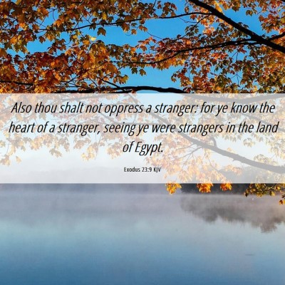 Picture 06 - Exodus 23:9 KJV - Also thou shalt not oppress a stranger: for ye - Bible Verse Picture