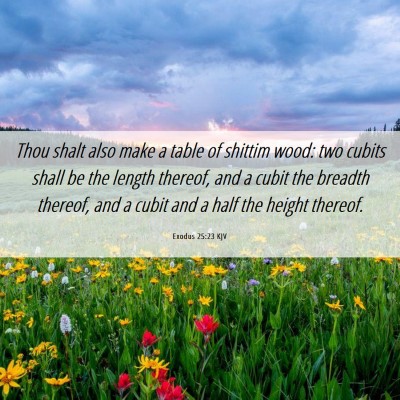 Picture 06 - Exodus 25:23 KJV - Thou shalt also make a table of shittim wood: two - Bible Verse Picture