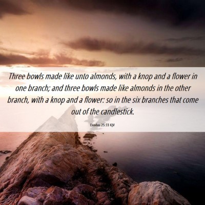 Picture 06 - Exodus 25:33 KJV - Three bowls made like unto almonds, with a knop - Bible Verse Picture