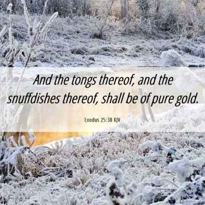 Picture 06 - Exodus 25:38 KJV - And the tongs thereof, and the snuffdishes - Bible Verse Picture