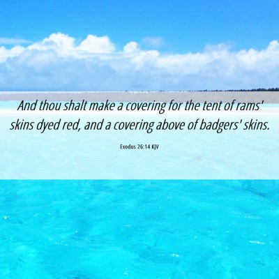 Picture 06 - Exodus 26:14 KJV - And thou shalt make a covering for the tent of - Bible Verse Picture