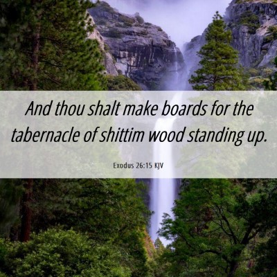 Picture 06 - Exodus 26:15 KJV - And thou shalt make boards for the tabernacle of - Bible Verse Picture