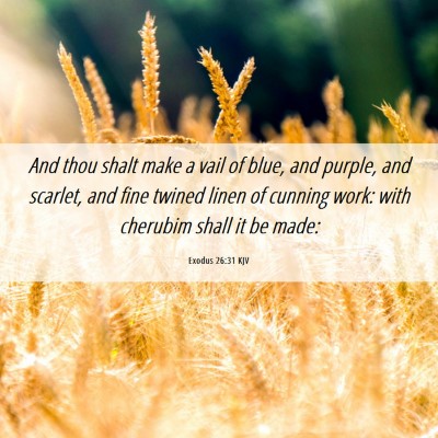 Picture 06 - Exodus 26:31 KJV - And thou shalt make a vail of blue, and purple, - Bible Verse Picture