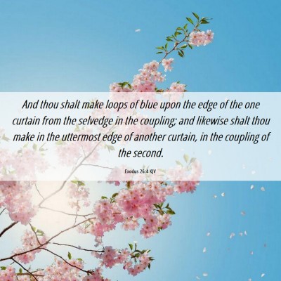 Picture 06 - Exodus 26:4 KJV - And thou shalt make loops of blue upon the edge - Bible Verse Picture