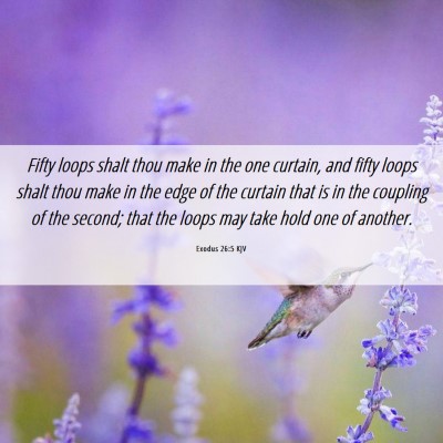 Picture 06 - Exodus 26:5 KJV - Fifty loops shalt thou make in the one curtain, - Bible Verse Picture