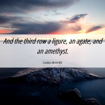 Picture 06 - Exodus 28:19 KJV - And the third row a ligure, an agate, and an - Bible Verse Picture