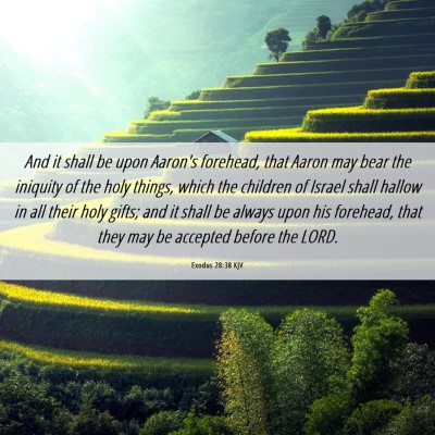 Picture 06 - Exodus 28:38 KJV - And it shall be upon Aaron's forehead, that Aaron - Bible Verse Picture