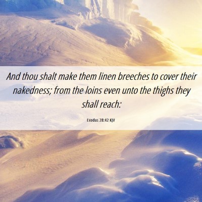 Picture 06 - Exodus 28:42 KJV - And thou shalt make them linen breeches to cover - Bible Verse Picture