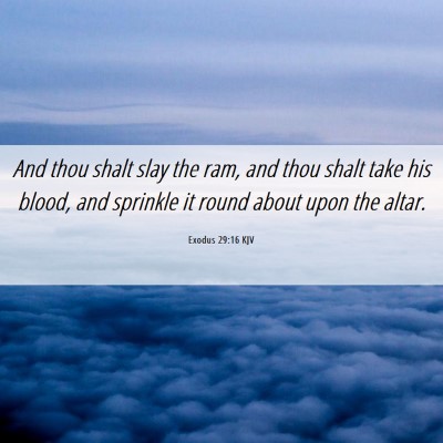 Picture 06 - Exodus 29:16 KJV - And thou shalt slay the ram, and thou shalt take - Bible Verse Picture