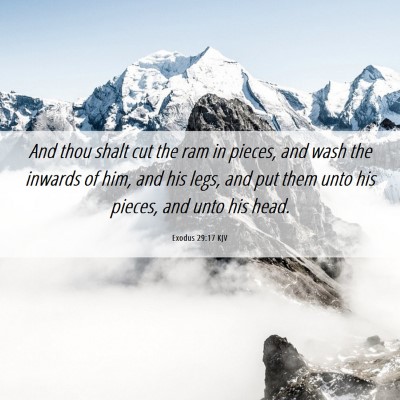 Picture 06 - Exodus 29:17 KJV - And thou shalt cut the ram in pieces, and wash - Bible Verse Picture