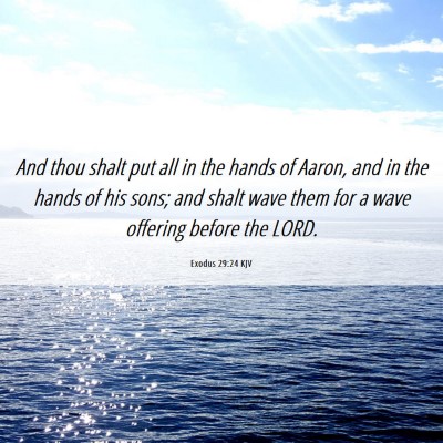 Picture 06 - Exodus 29:24 KJV - And thou shalt put all in the hands of Aaron, and - Bible Verse Picture