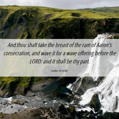 Picture 06 - Exodus 29:26 KJV - And thou shalt take the breast of the ram of - Bible Verse Picture