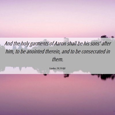 Picture 06 - Exodus 29:29 KJV - And the holy garments of Aaron shall be his sons' - Bible Verse Picture