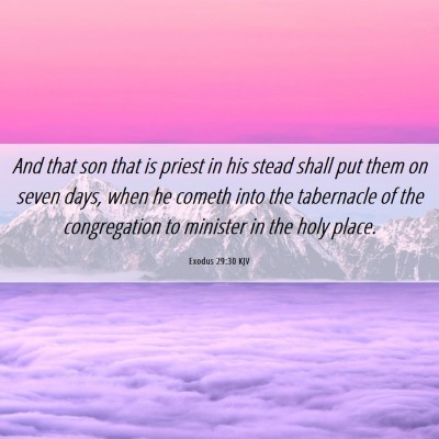 Picture 06 - Exodus 29:30 KJV - And that son that is priest in his stead shall - Bible Verse Picture