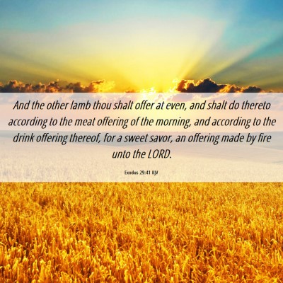 Picture 06 - Exodus 29:41 KJV - And the other lamb thou shalt offer at even, and - Bible Verse Picture