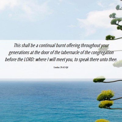 Picture 06 - Exodus 29:42 KJV - This shall be a continual burnt offering - Bible Verse Picture