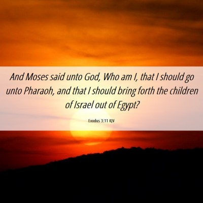 Picture 06 - Exodus 3:11 KJV - And Moses said unto God, Who am I, that I should - Bible Verse Picture