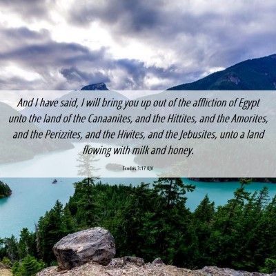 Picture 06 - Exodus 3:17 KJV - And I have said, I will bring you up out of the - Bible Verse Picture